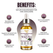 Benefits of Champi Oil Organic Wild Olive Oil for nourishing hair scalp and skin