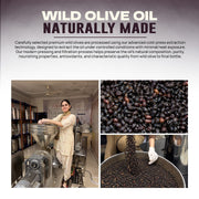 Step by step hair and scalp care procedure using Champi Oil Organic Wild Olive Oil